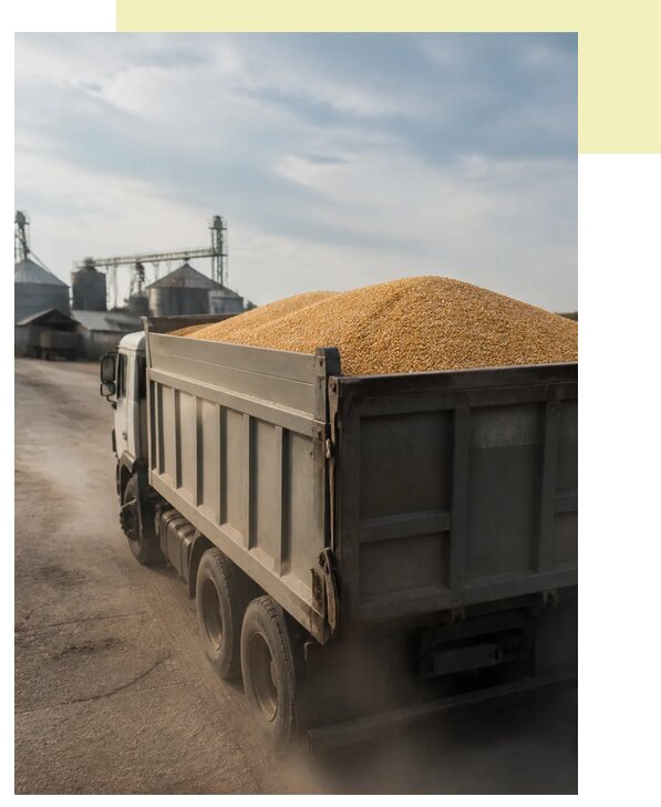 Перевозка сельхозпродукции навалом в Каширу по цене от 3124 р. | Агросервис-Кшр